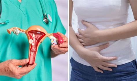 avez vous un utérus incliné les 7 symptômes d un utérus rétroversé
