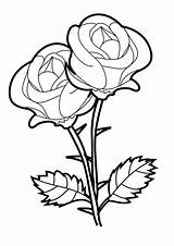 Coloring Rose Pages Clipart Clipartbest Vines Draw Drawings Special sketch template