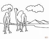 Camellos Ausmalbilder Kamele Piramide Pyramide Camels Ausmalbild Pyramids Mirando Pirámides Ausdrucken Kostenlos sketch template