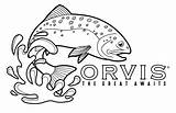 Trout Orvis Re sketch template