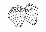 Coloring Pages Strawberry Printable Fruits Labels sketch template