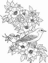 Colorir Coloriage Uccelli Coloriages Embroidery Páginas Fleur Aves Pintura Bordar Tarbox Dover Charlene Colorier Ricamo Fiori Riscos Digi Lápis Coloração sketch template