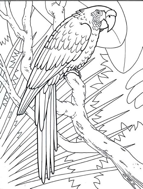 awesome jungle coloring pages