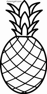 Pineapple Coloringall Clipground Cliparts sketch template