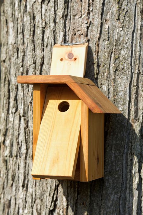 black capped chickadee cedar bird house etsy