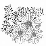 Flowers 30seconds sketch template