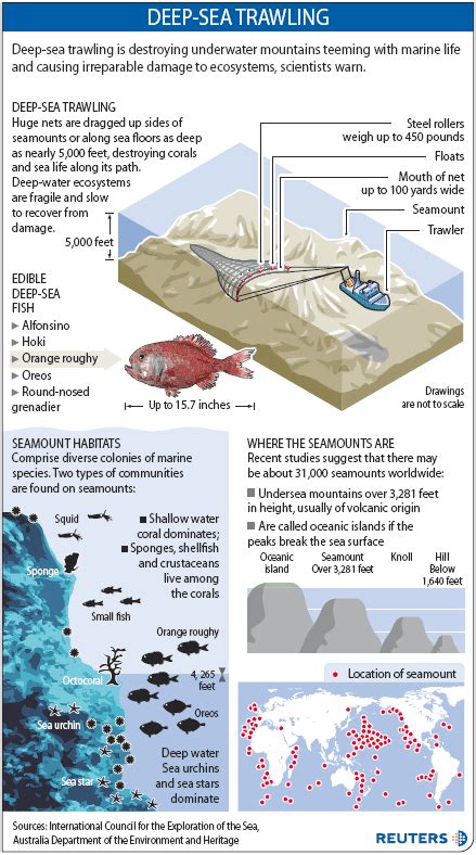 impacts of deep sea trawling world news world environment nbc news