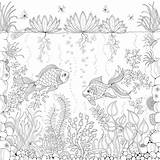 Colorir Desenhos Adultos Basford Johanna Zentangle Adora Alguns Amores Olá Vou Assim Postar Fish Animal sketch template