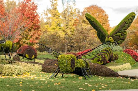 jardin botanique de montreal en automne pedro fait de la photo flickr