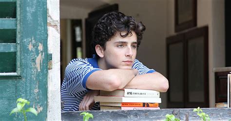 Call Me By Your Name Flies Theories