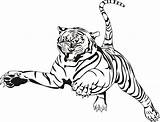 Tiger Coloring Pages Printable Coloringme Kids sketch template