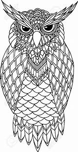 Owl Zentangle Coloring Pages Handdrawn Choose Board sketch template