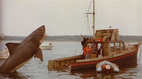 bizarre tale   orca ii  stunt boat  jaws mental floss