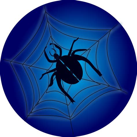 spider web outline   spider web outline png images