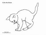 Kitten Coloring sketch template