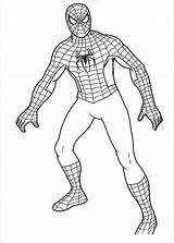 Spiderman Coloring Pages Spider Man Printable Kids Drawing Body Superhero Print Colouring Sheets Simple Superheroes Color Cartoon Drawings Procoloring Easy sketch template