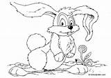 Kaninchen Malvorlage sketch template
