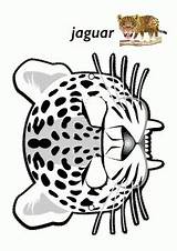 Jaguar Krokotak Maskesi Masque Jungle Okuloncesitr Makalenin Kaynağı Yahoo sketch template