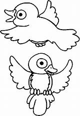 Uccelli Disegno sketch template