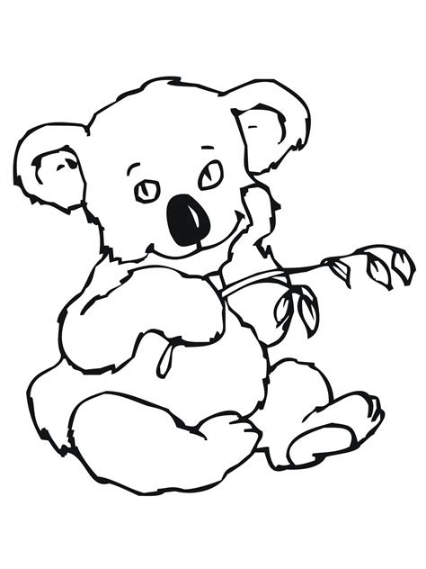 printable koala coloring pages  kids