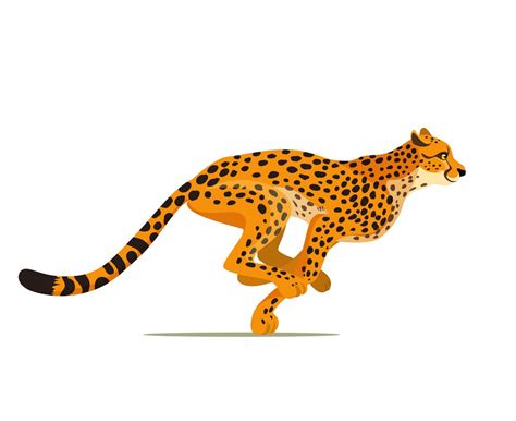 cheetah clipart world