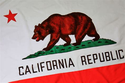 bear   california state flag lived  golden gate park rbayarea