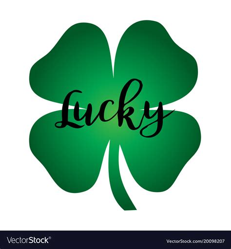 lucky calligraphy graphic on four leaf clover vector image