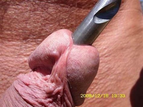 extremely cock pumping and insertions pichunter
