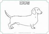 Coloring Dachshund Pages Printable Dog Puppy Weiner Color Getdrawings Getcolorings Colorings sketch template