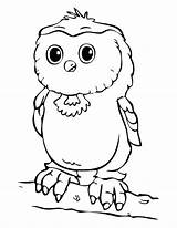 Owl Coloring Babies Horned Great Pages Getcolorings Library Color Comments sketch template