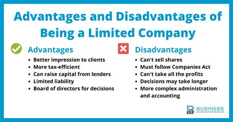advantages  disadvantages   limited company