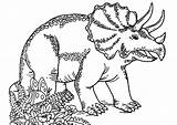 Dinosaurs Triceratops Dinosaures Coloriages Tricératops Dinosaure Angry Coloringpages234 Nggallery Justcolor sketch template