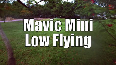 dji mavic mini  level flying youtube