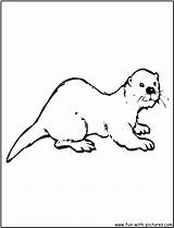 Otter Coloring Pages River Sea Drawing Asian Cartoon Animals Otters Kids Color Clipart Printable Quotes Library Activities Colouring Sheets Fun sketch template