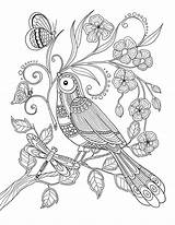 Coloring Pages Adult Birds Bird Printable Wings Donner Pour Adults Coloriage Book Colouring Perroquet Zentangle Ailes Des Behance Color Mandala sketch template