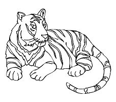 tigers coloring pages  printable activities