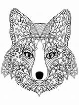 Coloring Fox Pages Zentangle Adult Adults Printable Color sketch template