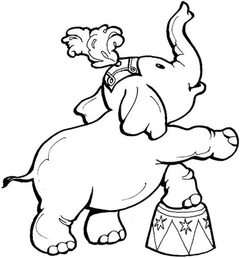 circus elephant coloring page netart