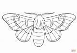 Moth Coloring Silk Silkmoth Pages Printable Color Drawing Template Drawings Sketch Templates sketch template