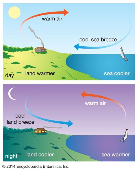 land breeze definition diagram facts britannica