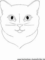 Katzengesicht Katzen Ausdrucken sketch template