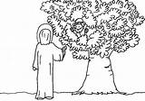 Coloring Zacchaeus Pages Jesus Zaccheus Saw Clip Printable Clipart Colouring Tree Library Getdrawings Popular Luke Zacheus Comments Getcolorings Coloringhome Kids sketch template