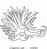 Nudibranch Slug sketch template