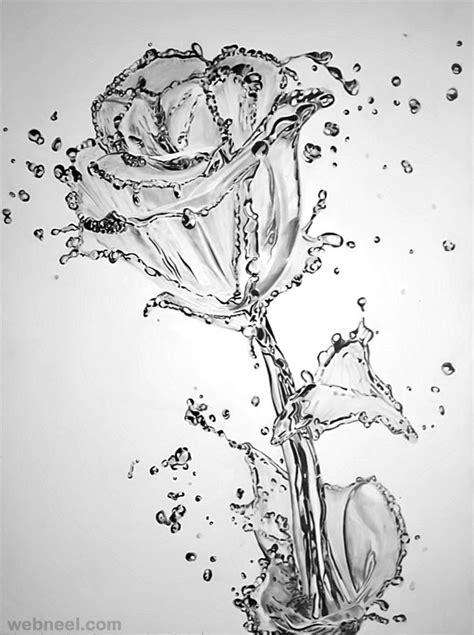 pencil drawings  flowers