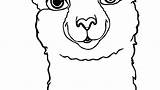 Drawing Alpaca Llamacorn Clipartmag sketch template