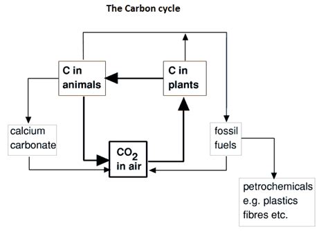 carbon dioxide molecule of the month 2012 jmol version