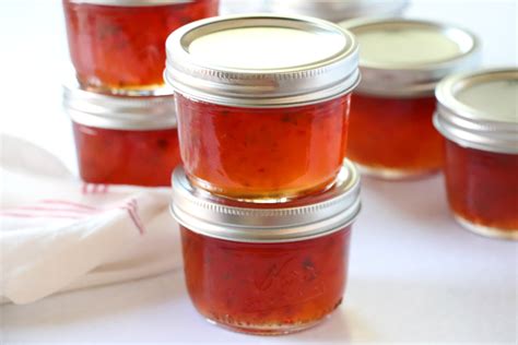 spicy red pepper jelly dash  savory cook  passion