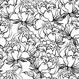 Naadloze Achtergrond Bloemen Zwarte Weefsel Naadloos Witte Uitstekende Patroon sketch template