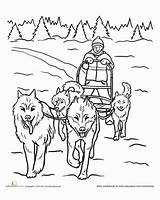 Coloring Dog Sled Pages Dogs Worksheets Sledding Team Drawing Education Teamwork Sheets Snow Adult Color Winter Colouring Animal Husky Iditarod sketch template