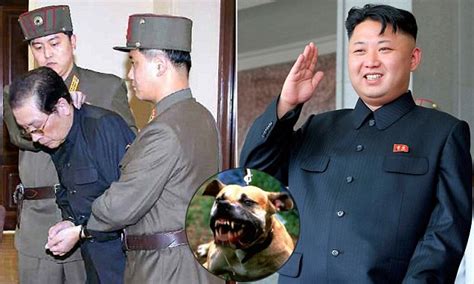 kim jong   scum uncle eaten alive  dogs daily mail